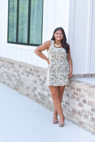 Chenille Embroidered Dress